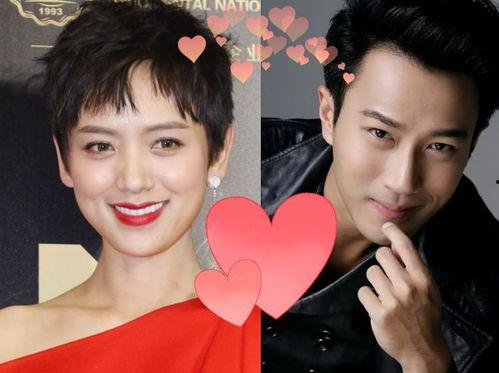 刘恺威邻居爆料视频在线观看,揭秘明星私生活细节