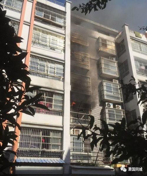 萧县爆料最新消息今天  第1张