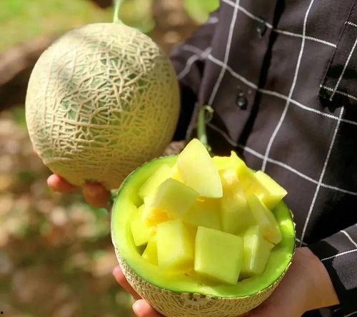 娱乐吃瓜酱橘子甜不甜  第2张